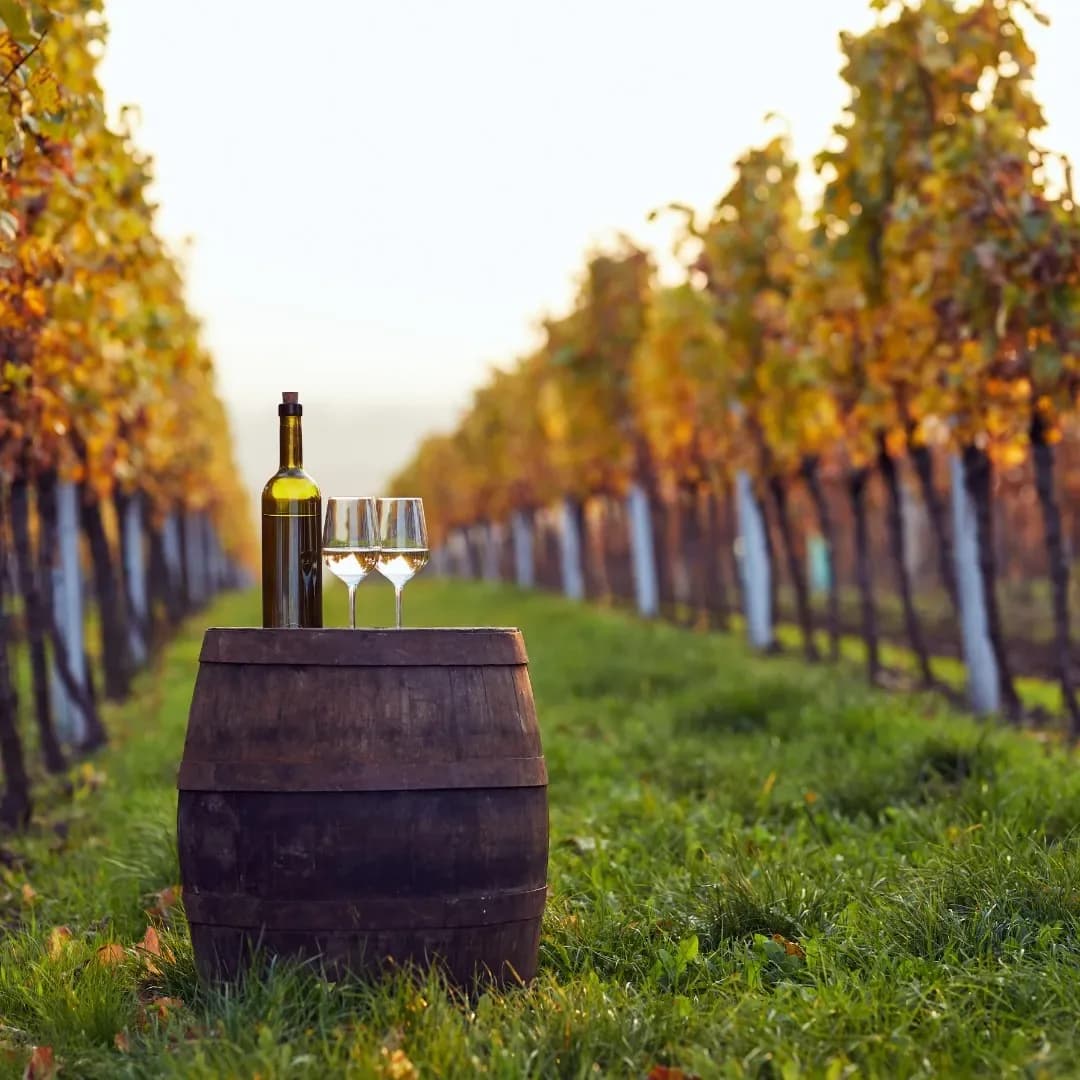 Small Carpathian Wine Route